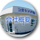 ЊTv